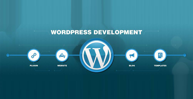 WordPress Developer Career in Nepal